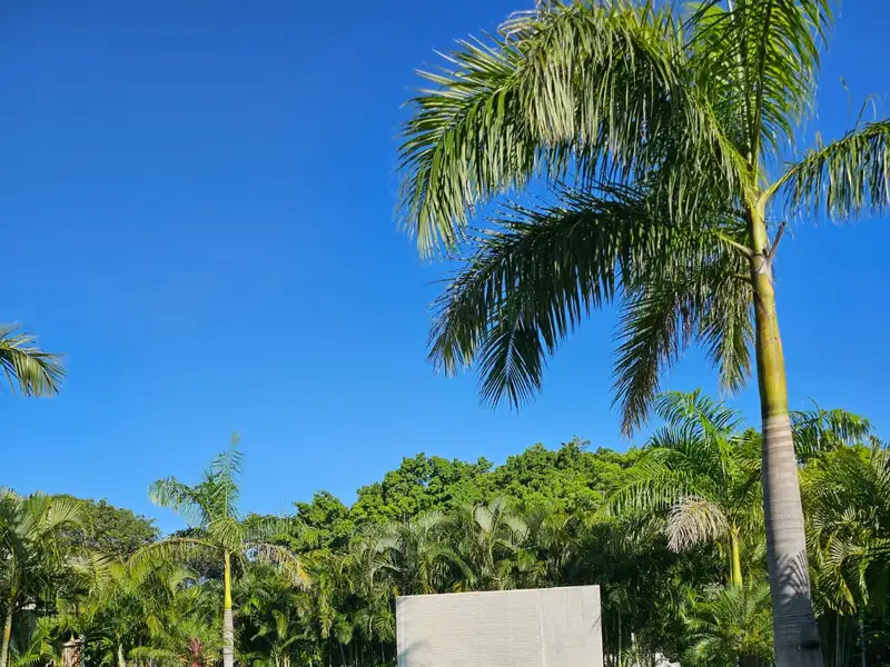 Seahorse Bed and Breakfast - Serene Retreat in La Josephina Valley, Near Tamarindo
