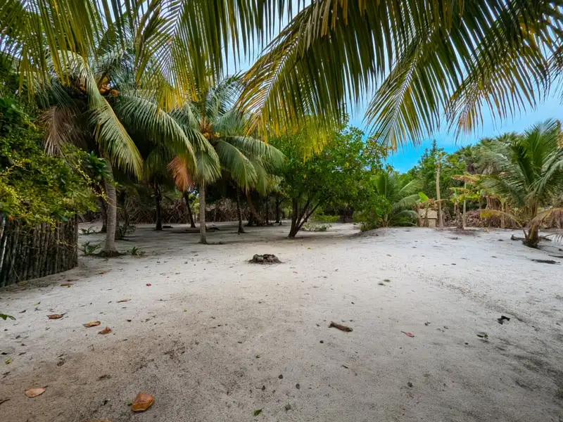 Beachfront Eco-resort Opportunity in Monkey River, Belize on 2.5 Acres with Boat Access