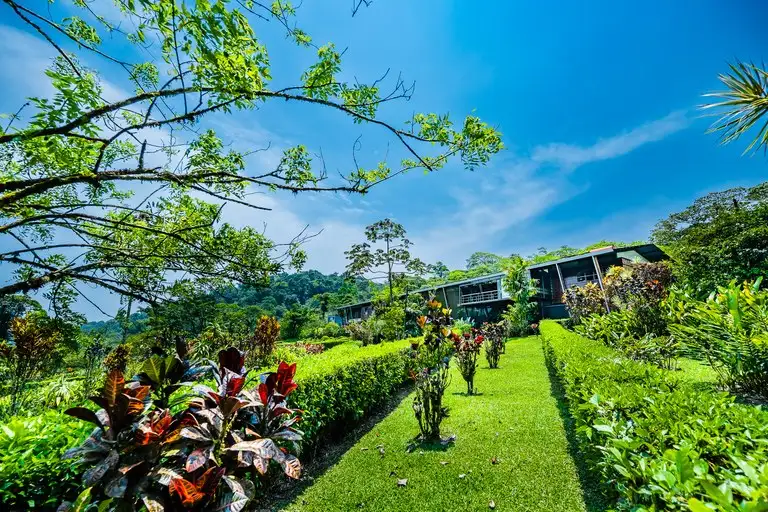 Celeste Mountain Lodge: 17-acre Eco-lodge with Rainforest Reserve in Costa Rica
