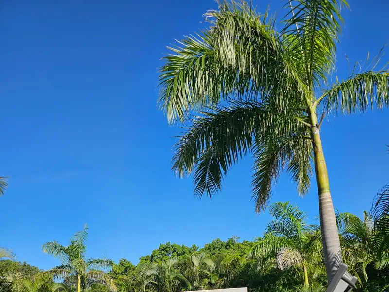Seahorse Bed and Breakfast - Serene Retreat in La Josephina Valley, Near Tamarindo