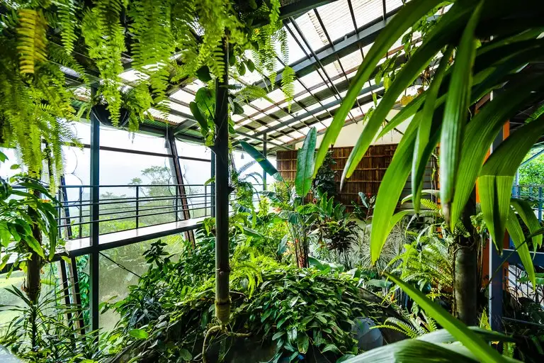 Celeste Mountain Lodge: 17-acre Eco-lodge with Rainforest Reserve in Costa Rica