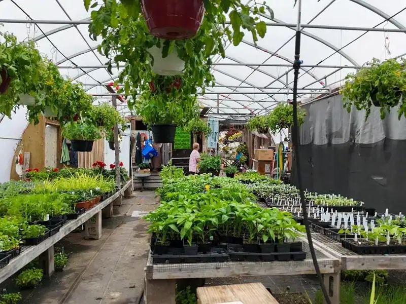 Greenhouse Business Opportunity on 7 Acres with Ocean View in St. Peter's, Ns