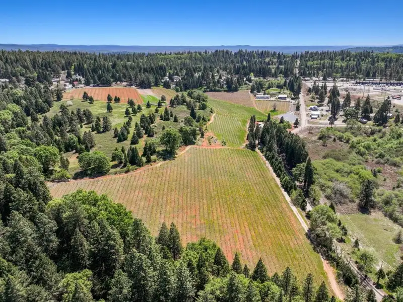 20-acre Winery Estate in Apple Hill with Event Space and Residential Home