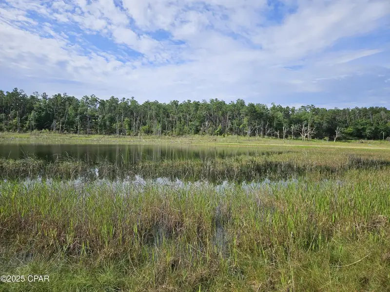 15.75 Acres of Commercial and Residential Land Near Bay County Line on Highway 77