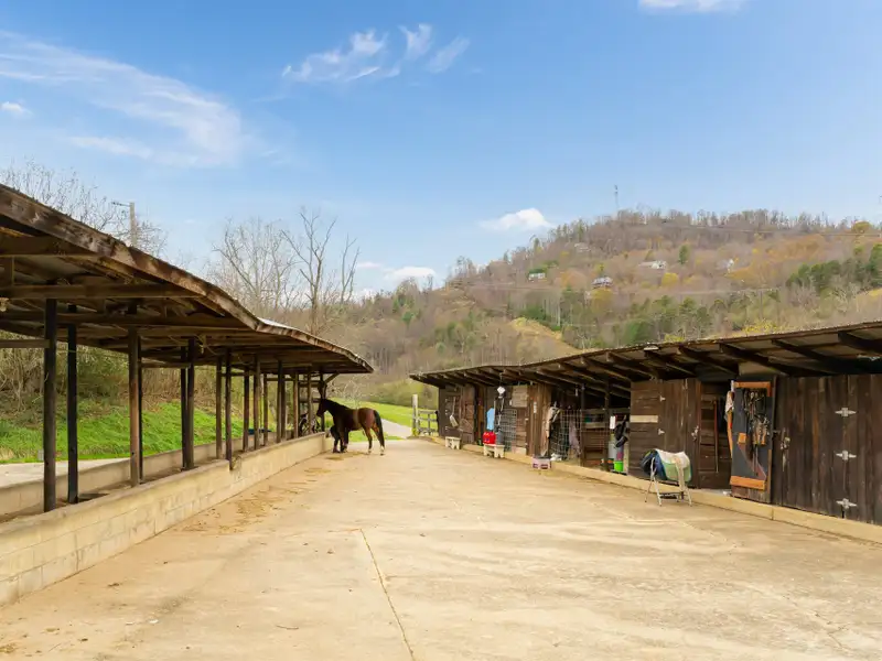 Unique 268-acre Asheville Property with Mountain Views, Homestead, and Horse Facilities