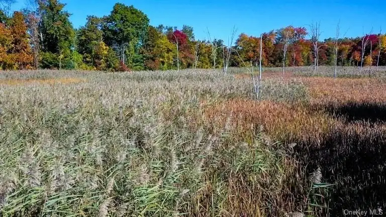 558+ Acre Parcel in Pawling, Ny – Ideal for Residential or Commercial Development