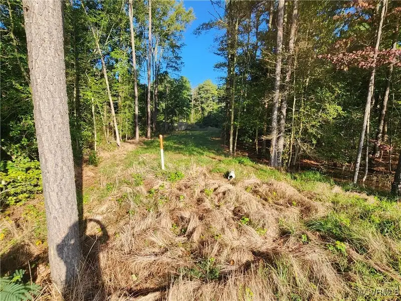 5.307 Acre Developable Wooded Land in Henrico County, Zoned A-1 with Utilities Available