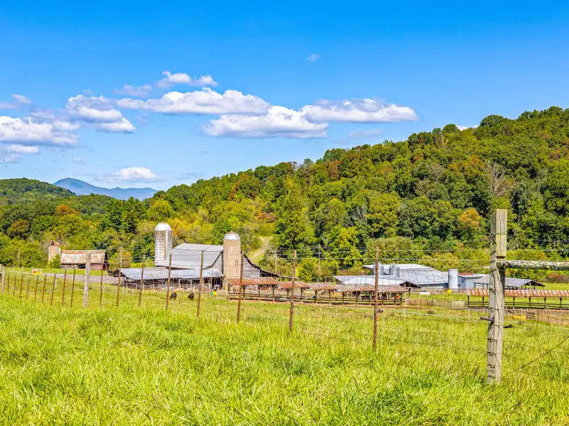 Residential Development Opportunity in Raccoon Creek Neighborhood, Waynesville, Nc