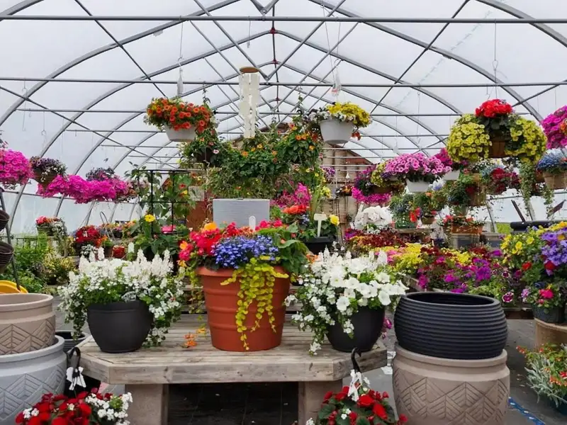 Greenhouse Business Opportunity on 7 Acres with Ocean View in St. Peter's, Ns