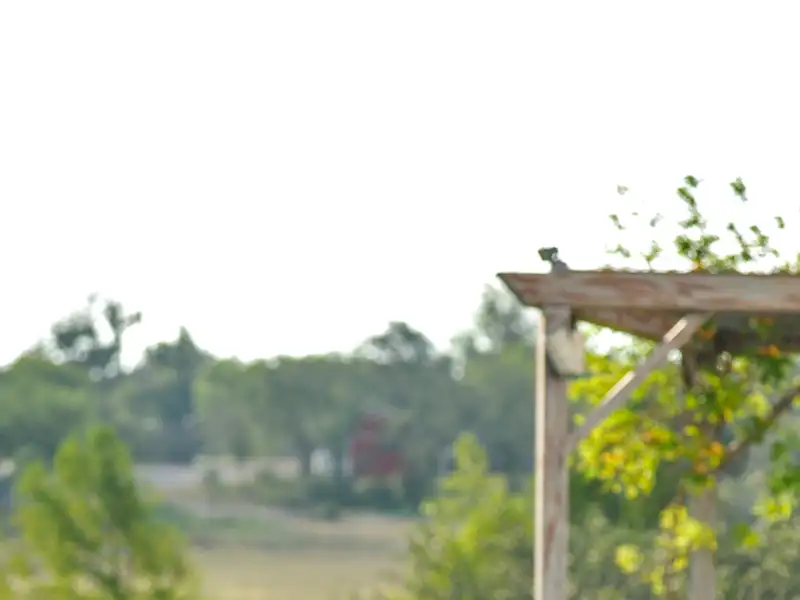 Charming Home on Kott Road in Fredericksburg, Tx