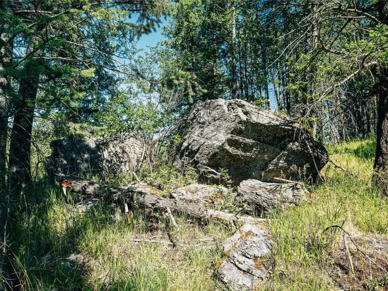 3.59-acre B-2 Zoned Land in Prime Bigfork Location with Marketable Timber