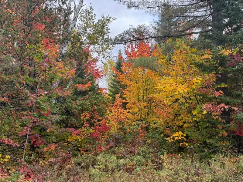 Private Domain in Saint-côme: Two Wooded Lots with Subdivision Potential