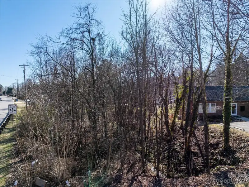 Undeveloped Road Frontage on New Leicester Hwy - 295' Opportunity
