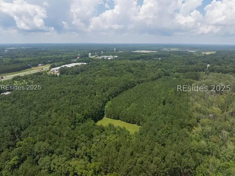 30-acre Wooded Land for Sale in Ridgeland, Sc Near I-95 Exit 21