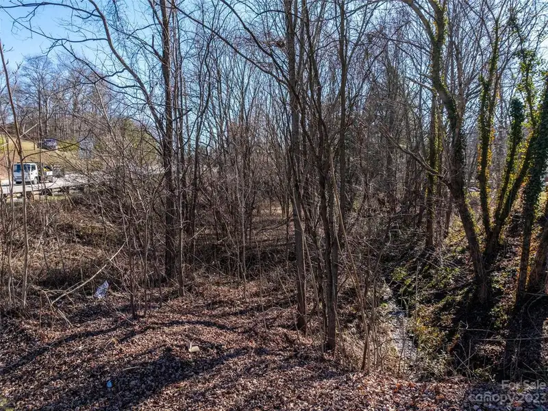 Undeveloped Road Frontage on New Leicester Hwy - 295' Opportunity