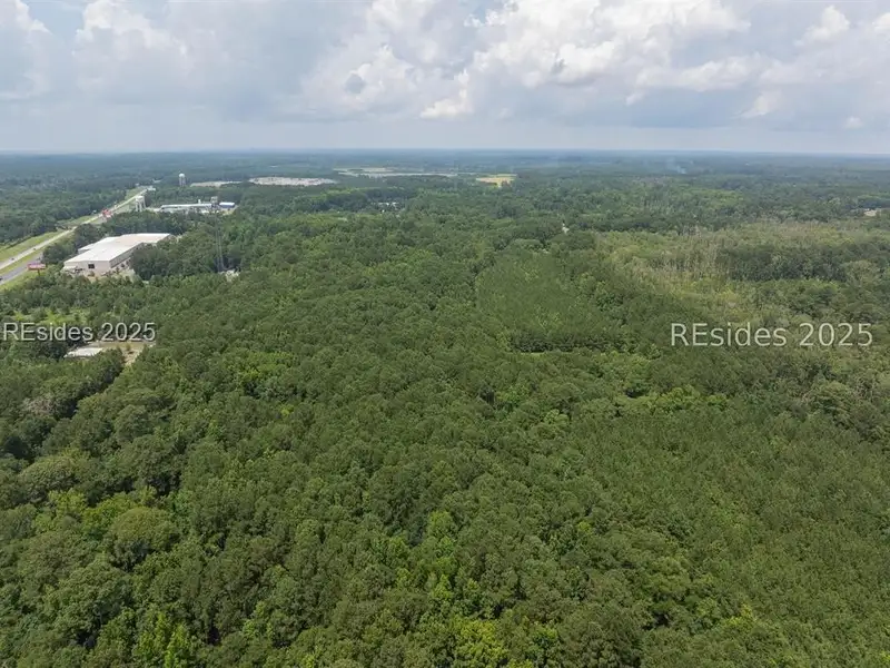 30-acre Wooded Land for Sale in Ridgeland, Sc Near I-95 Exit 21