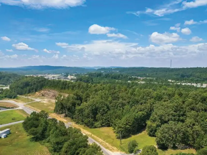 Commercial Land Opportunity on Highway 280 in Chelsea - 2.62 Acres