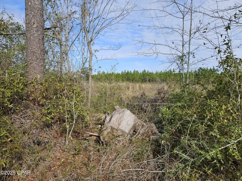 Commercial Land Near Margaritaville - 3.22 Acres with Hwy 79 Frontage