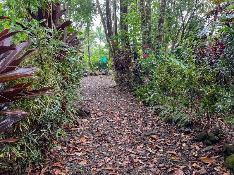 One-bedroom Home with Expansion Potential in Central Ojochal, Costa Rica