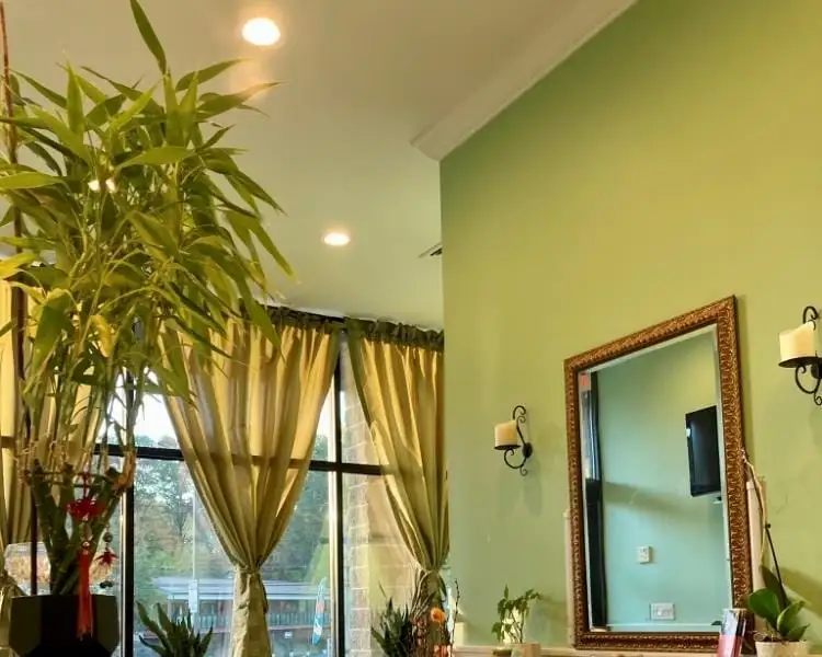 Turnkey Massage & Facial Spa for Sale in Briarcliff Manor, Ny