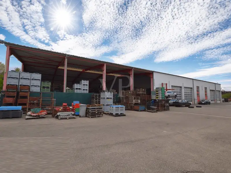 Versatile Industrial Property with Halls, Offices, and Open Space in Prime Location