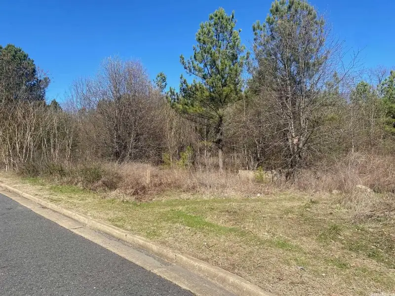 2-acre Commercial Lot with Right of Way Easement in High Traffic Area