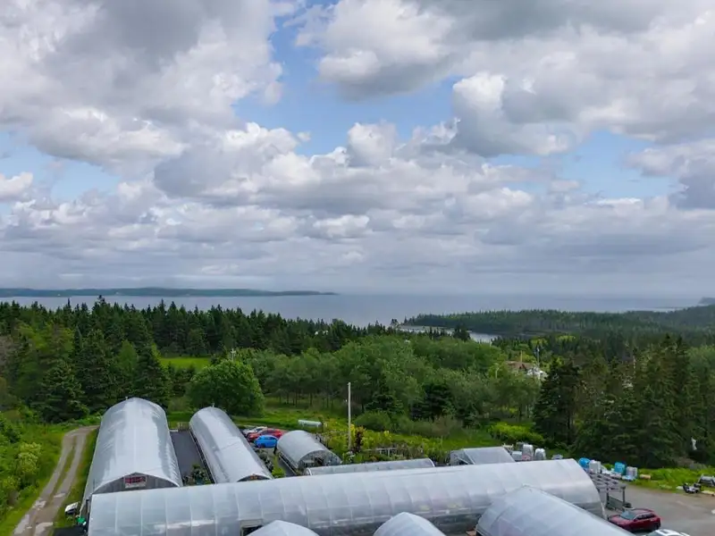 Greenhouse Business Opportunity on 7 Acres with Ocean View in St. Peter's, Ns