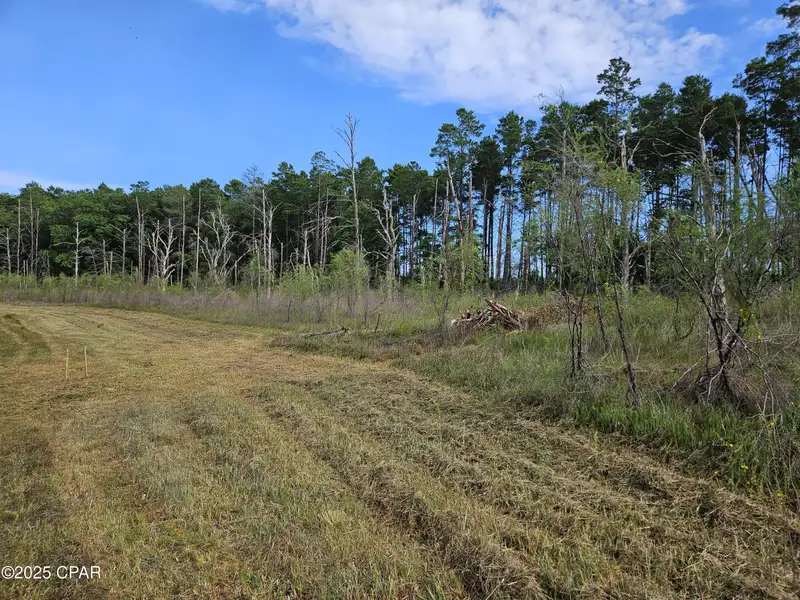 15.75 Acres of Commercial and Residential Land Near Bay County Line on Highway 77