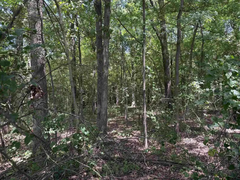 7-acre Commercial Property with Utilities in Mt. Pleasant, Texas
