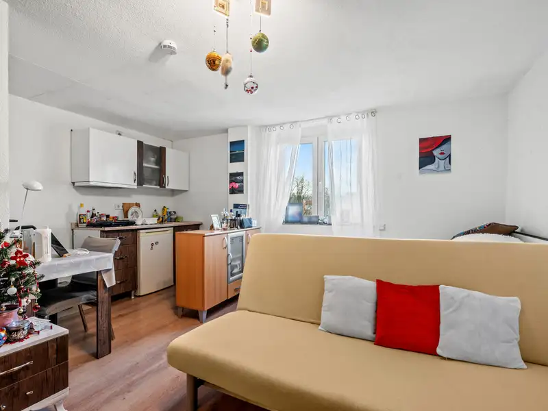 Renovated Investment Property in Biberach with 16 Fully Let Furnished Units