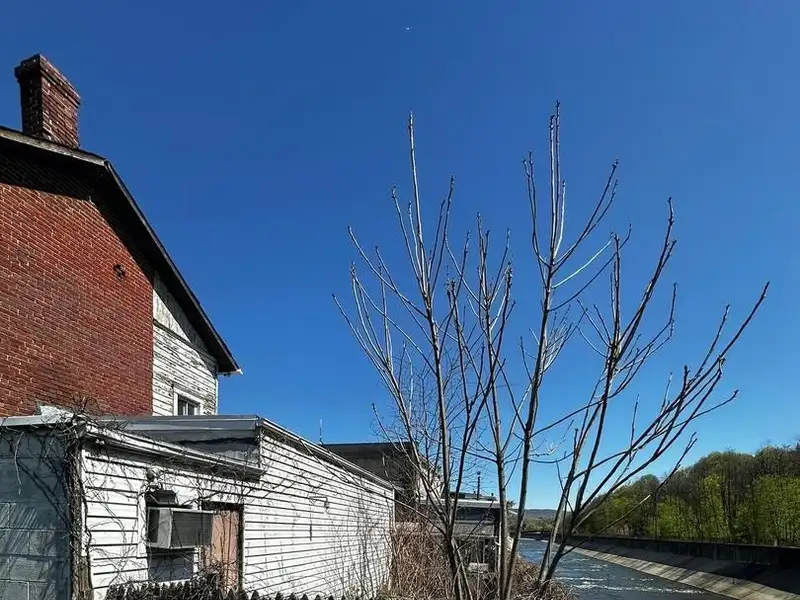 Large Commercial Building with Unique Floor Plan and Adjacent City-owned Lot for Sale