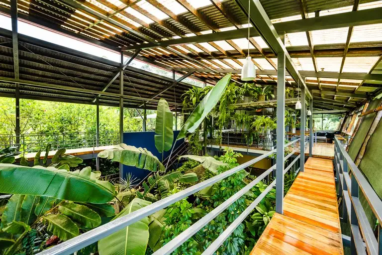 Celeste Mountain Lodge: 17-acre Eco-lodge with Rainforest Reserve in Costa Rica