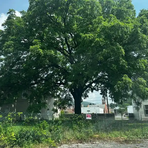 Commercial Sale