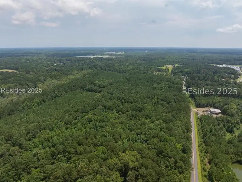 30-acre Wooded Land for Sale in Ridgeland, Sc Near I-95 Exit 21
