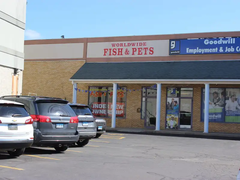 Retail or Professional Office Space for Lease Near Yale University and Rt15, 3400 Sf