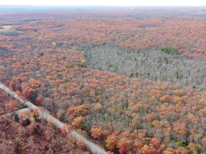 97.06 Acres Multi-use Land in Pike County
