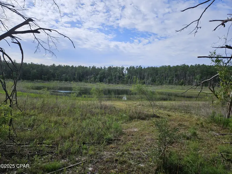 15.75 Acres of Commercial and Residential Land Near Bay County Line on Highway 77
