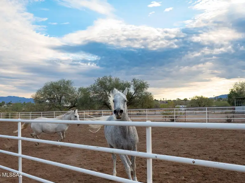 Equestrian Property on 18 Acres with Barns, Stalls, and Manufactured Homes