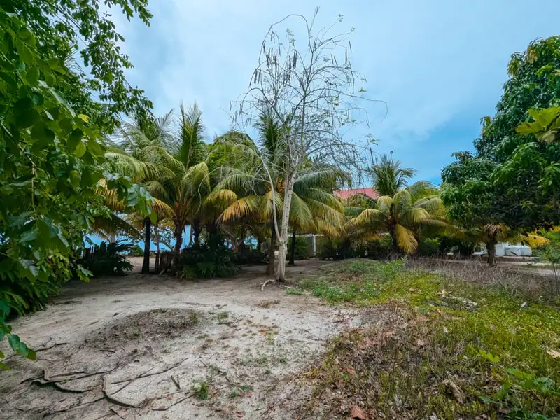 Beachfront Eco-resort Opportunity in Monkey River, Belize on 2.5 Acres with Boat Access