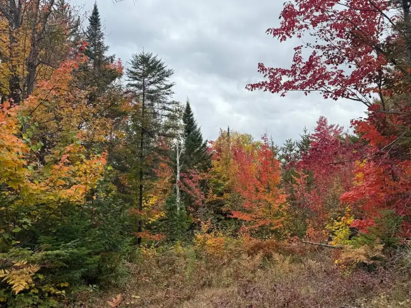 Private Domain in Saint-côme: Two Wooded Lots with Subdivision Potential