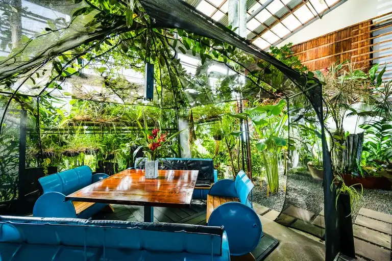 Celeste Mountain Lodge: 17-acre Eco-lodge with Rainforest Reserve in Costa Rica