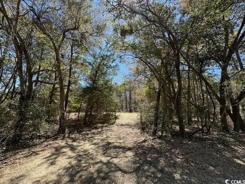 Versatile Lot with Excellent Access in Litchfield Area, Pawleys Island