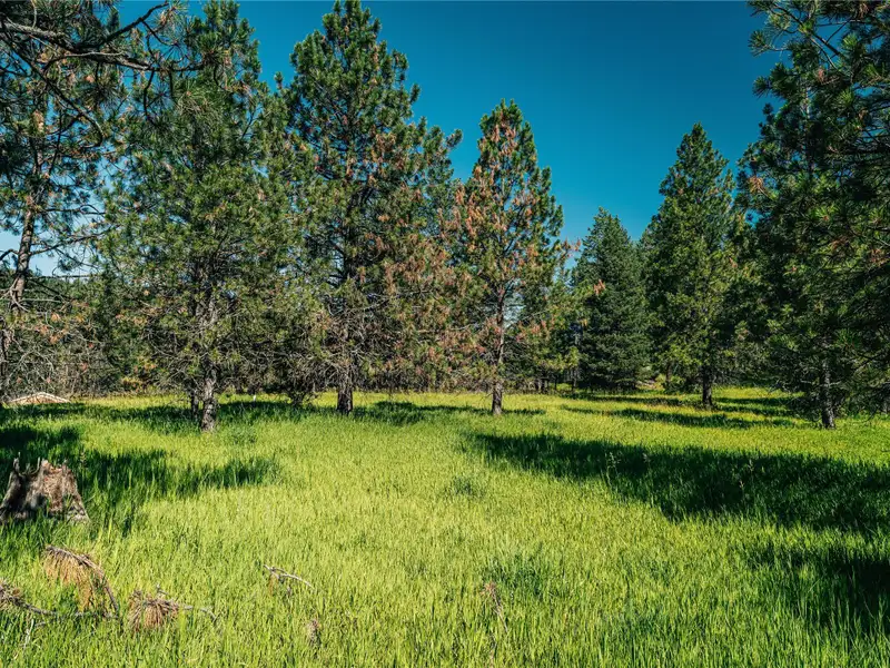 3.59-acre B-2 Zoned Land in Prime Bigfork Location with Marketable Timber