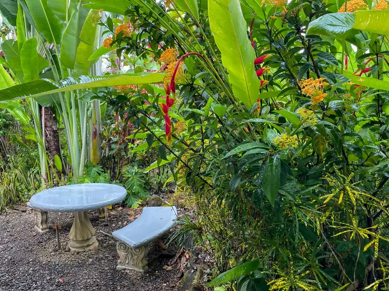 One-bedroom Home with Expansion Potential in Central Ojochal, Costa Rica