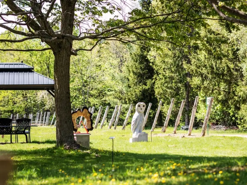 Vaudreuil-dorion Vineyard on 10.80 Hectares with 21,220 Mature Trellised Vines