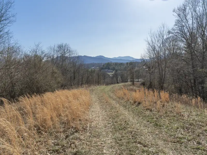 29 Acres of Land with Mountain Views Near Downtown Canton, Subdivision Potential