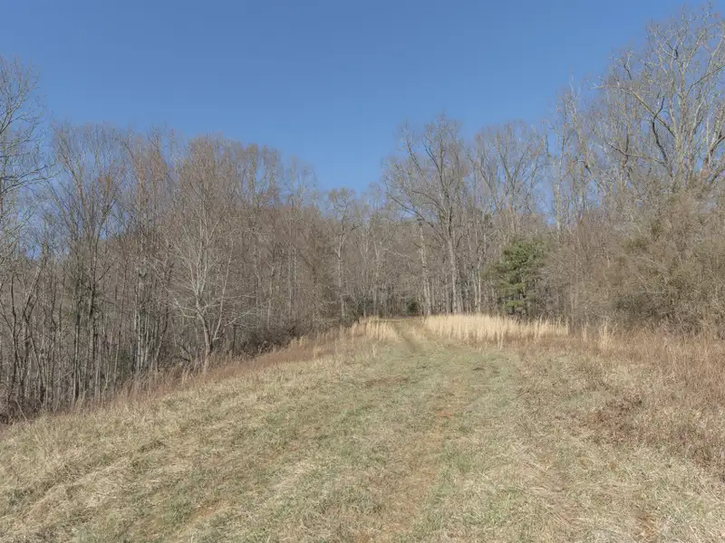 29 Acres of Land with Mountain Views Near Downtown Canton, Subdivision Potential