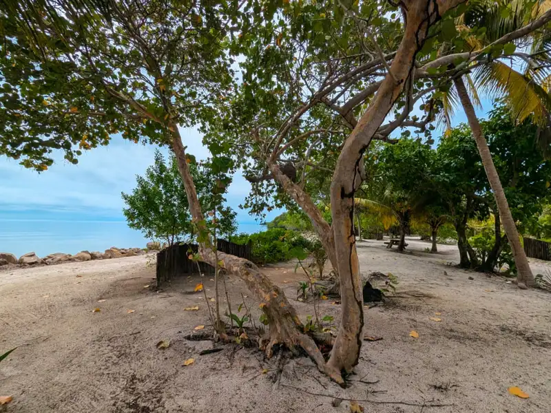 Beachfront Eco-resort Opportunity in Monkey River, Belize on 2.5 Acres with Boat Access