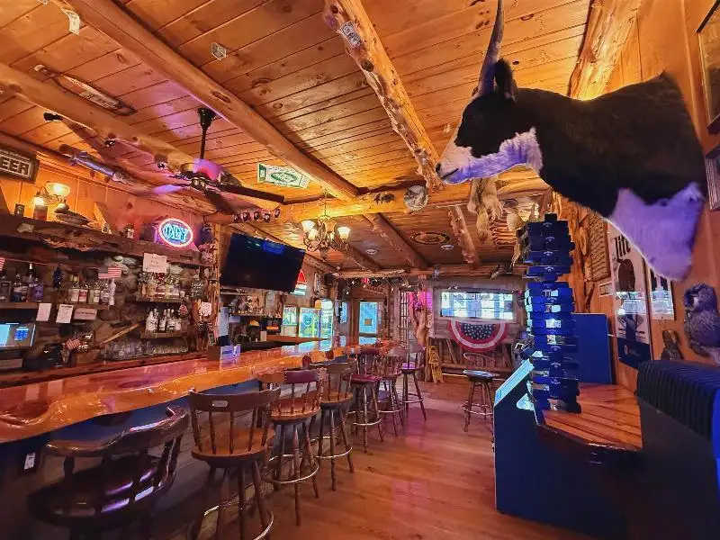 Turnkey Lodge-style Investment Opportunity in Berlin with Unique Interior and Bar