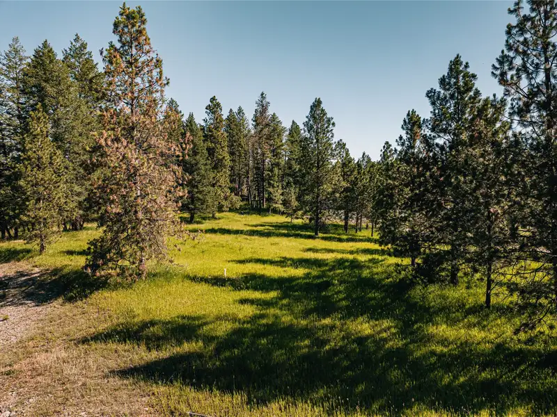 3.59-acre Zoned B-2 Land in Prime Bigfork Location with Marketable Timber
